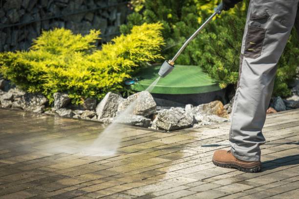 Professional Pressure Washing Services in Colusa, CA