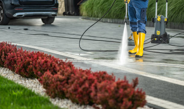 Best Building Exterior Washing  in Colusa, CA